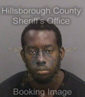 Rogers Deondrea - Hillsborough County, Florida 