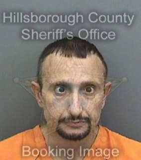 Perez Manuel - Hillsborough County, Florida 