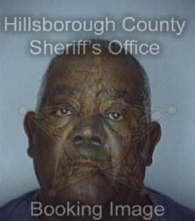 Diggs John - Hillsborough County, Florida 