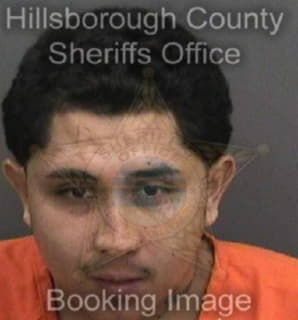 Alonzo Juarez - Hillsborough County, Florida 