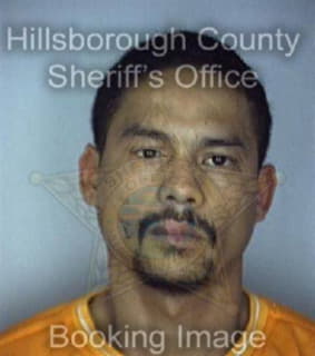 Lee Rene - Hillsborough County, Florida 