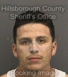 Aranda Roger - Hillsborough County, Florida 