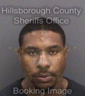 Mitchell Xavier - Hillsborough County, Florida 