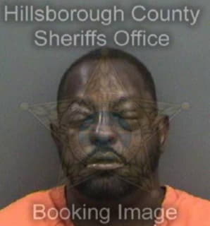 Wilson Alaric - Hillsborough County, Florida 