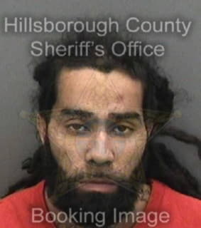 Perez Ivan - Hillsborough County, Florida 