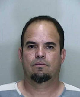 Hernandez Jesus - Marion County, Florida 