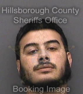 Rivera Anthony - Hillsborough County, Florida 