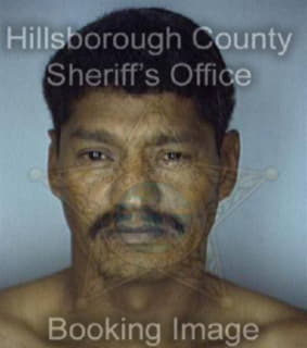 Villanueva Eusebio - Hillsborough County, Florida 