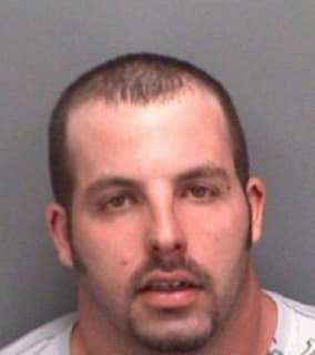 Dickens Nicholas - Pinellas County, Florida 