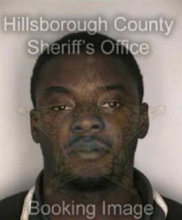 Williams Roger - Hillsborough County, Florida 