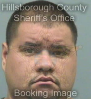 Rangel Roger - Hillsborough County, Florida 