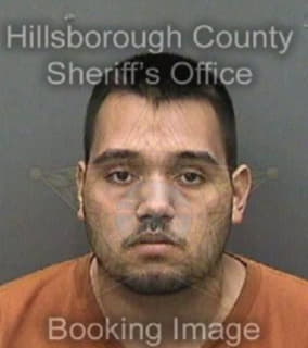 Vega Samuel - Hillsborough County, Florida 