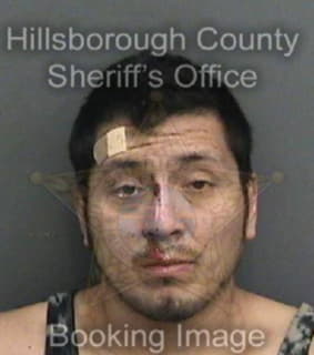 Mayorga Walter - Hillsborough County, Florida 