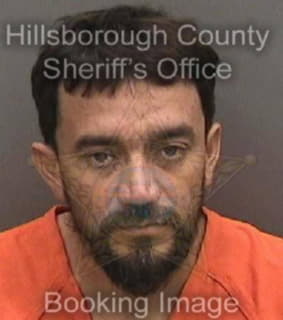 Villatorohernandez Denis - Hillsborough County, Florida 