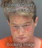 Embry Michelle - Pinellas County, Florida 