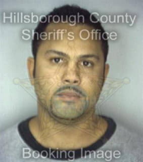 Lopez Pedro - Hillsborough County, Florida 