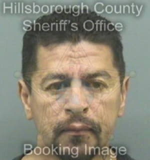 Aranda Roger - Hillsborough County, Florida 