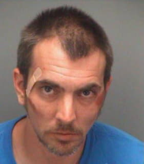 Anderson Aaron - Pinellas County, Florida 