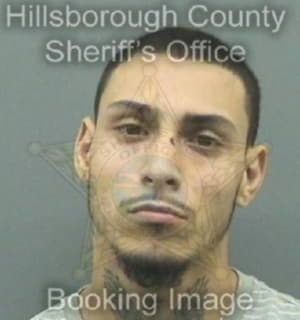 Martinez Carlos - Hillsborough County, Florida 