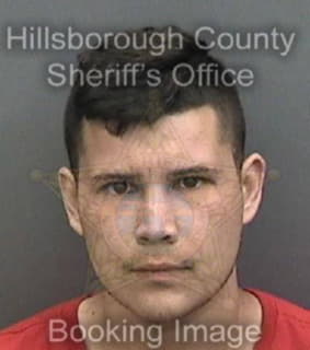 Carbajal Coty - Hillsborough County, Florida 