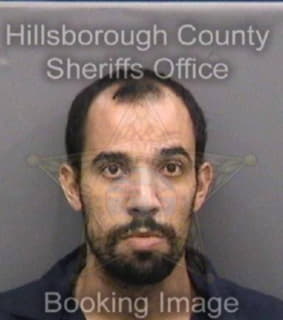 Santiago David - Hillsborough County, Florida 
