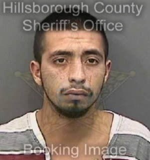 Carrillo Homero - Hillsborough County, Florida 