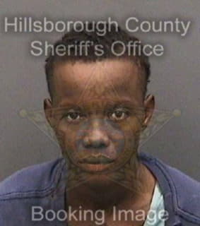 Williams Nekeshia - Hillsborough County, Florida 