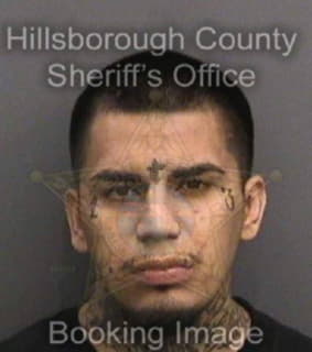 Ledesma Ricky - Hillsborough County, Florida 