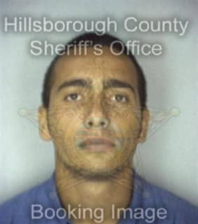 Velezperez Yamir - Hillsborough County, Florida 