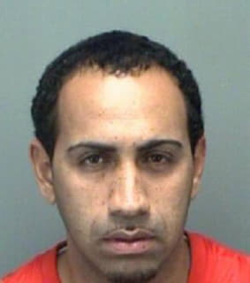 Martinez Benigno - Pinellas County, Florida 