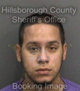 Rodriguezsantiago Peter - Hillsborough County, Florida 