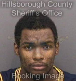 Mcgriff Amond - Hillsborough County, Florida 