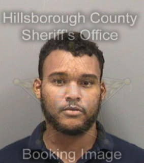 Bennett Darius - Hillsborough County, Florida 