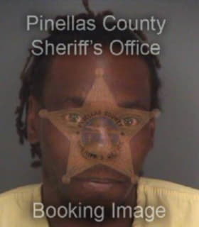 Stewart Andre - Pinellas County, Florida 