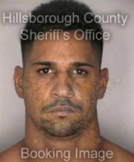 Garriga Luis - Hillsborough County, Florida 