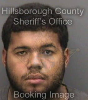 Lopez Roberto - Hillsborough County, Florida 