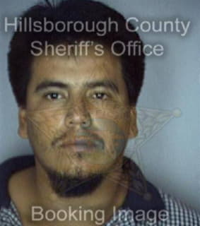 Aguirre Alfonso - Hillsborough County, Florida 