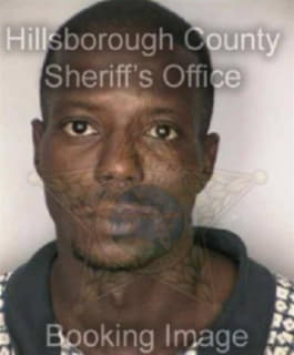 Jeffrey Brent - Hillsborough County, Florida 