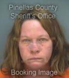 Howard Ginger - Pinellas County, Florida 