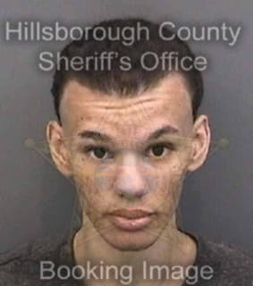 Rodriguez Robert - Hillsborough County, Florida 