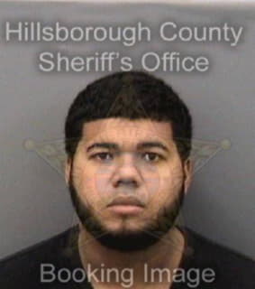 Lopez Roberto - Hillsborough County, Florida 