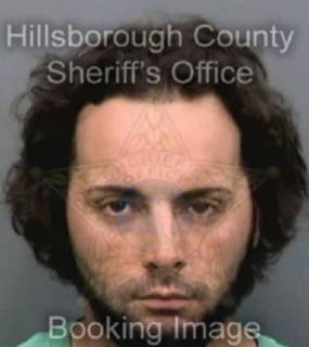 Lleras Sergio - Hillsborough County, Florida 