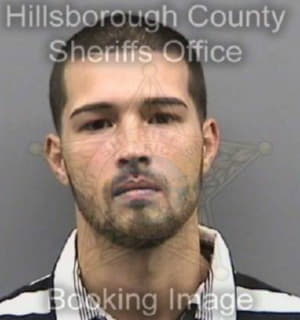 Vazquez Alain - Hillsborough County, Florida 