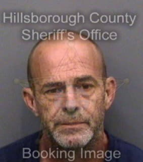 Lofley David - Hillsborough County, Florida 