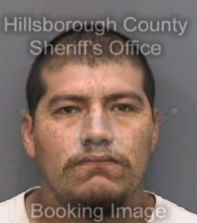 Loezahernandez Eduardo - Hillsborough County, Florida 