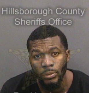 Chandler Michael - Hillsborough County, Florida 