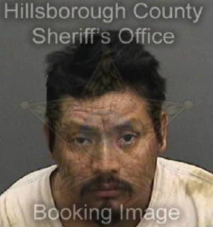 Perez Francisco - Hillsborough County, Florida 