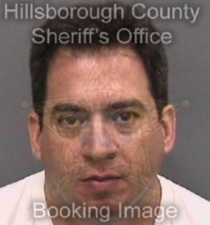 Fragoso Luis - Hillsborough County, Florida 