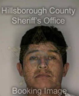 Vasquez Zenaldo - Hillsborough County, Florida 