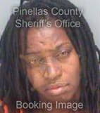 Mccloud Erin - Pinellas County, Florida 